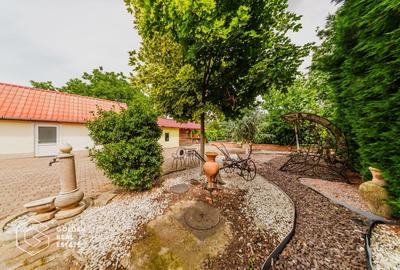 Afacere la cheie: Pensiune functionala sau casa de locuit, Ghioroc - 56