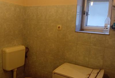 Vanzare Casa in localitatea Bodrogu Nou - 19