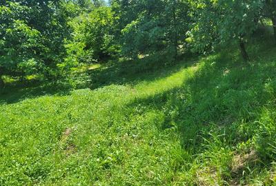Teren intravilan 960 mp, zona Hemeius - 11