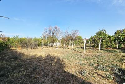 Casă cu 2 corpuri și teren de 1.064 mp – Bujac - 8