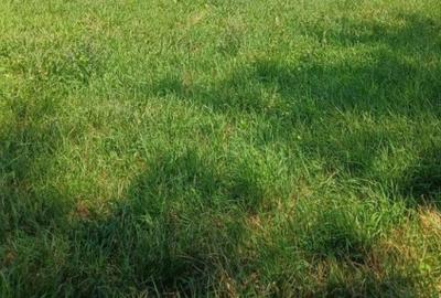 TEREN INTRAVILAN DE VANZARE I IGHIU I LA DRUM ASFALTAT I TOATE UTILITATILE - 1
