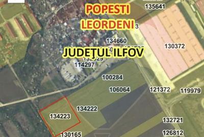 Teren intravilan 10,000mp Popesti-Leordeni intre centura Buc si A0 - 3