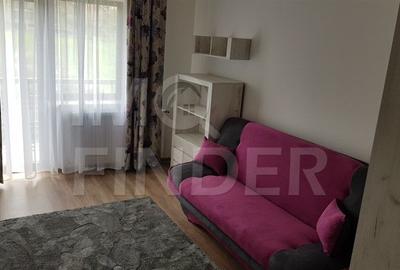 Inchiriere casa tip duplex in zona Europa - 28