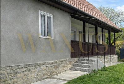Casă individuală cu 3 camere în Mănăstireni