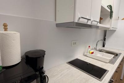 Studio - Green Future Sinaia  - inchiriat cu 550 euro/luna - 6