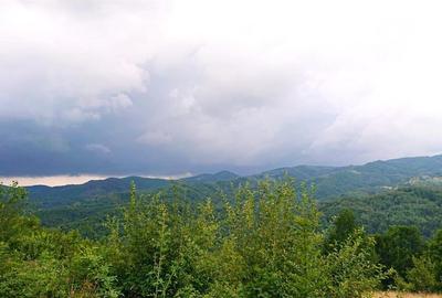Teren cu Padure in Bulzestii de Sus 4200mp - 1