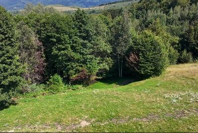 Teren 5000 mp, pretabil cabana de weekend, Sinca Noua - 5
