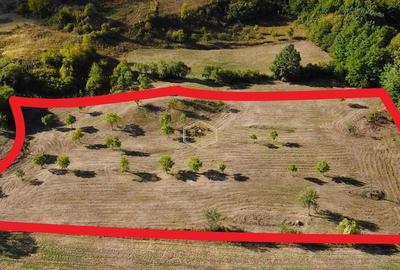 VIDEO | Super view | Teren 8.500 m² in Maramures | Viitorul tau colt de liniste - 3