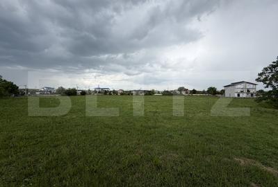 Teren Construcții intravilan de 14342 mp, în Bariera Vâlcii