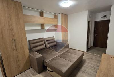 Garsonieră modernă 25 mp | Prima închirie -Zona Nicolina 1 - 6