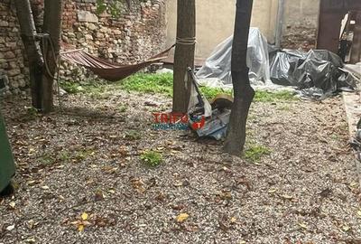 Spatiu comercial pentru restaurant, bar, club cu terasa si crama - 5