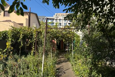 Casa si teren intravilan 512 mp | Bd. Uverturii – zona Cernisoara - 12
