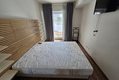 Apartament 2 Camere Bulevardul Timisoara nr 58 (mobilat si utilat complet) - 4