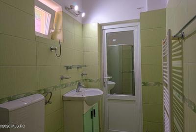 Freidorf - Corneliu Baba - Casa Individuala, 4 Camere, Lot 699 MP - 13