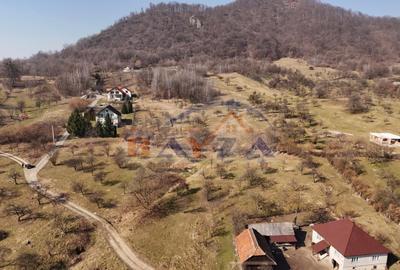 Teren intravilan 5.105 mp, Baia Sprie, la intrare pe Valea Chiuzbăii - 5