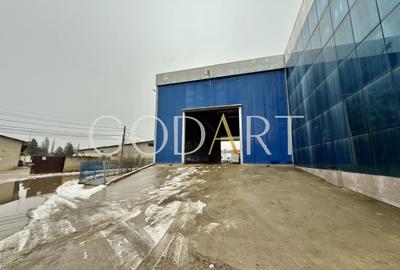 Hală industrială de închiriat | Acces TIR - 11