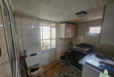 Casa individuala 3 camere, curte libera 225 mp, zona Piata Resita - 16
