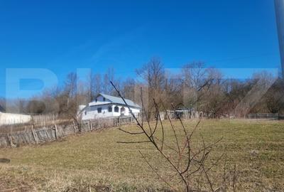 Casă individuală cu 3 camere în Iordăcheanu