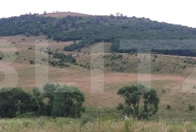 Teren Construcții intravilan de 5700 mp, în Exterior Est
