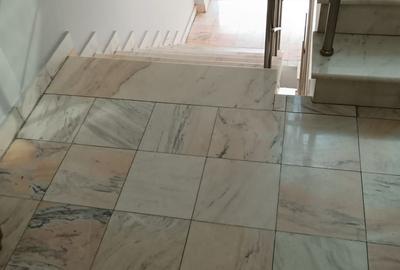 Vanzare 3 camere Primaverii - Puskin - 9
