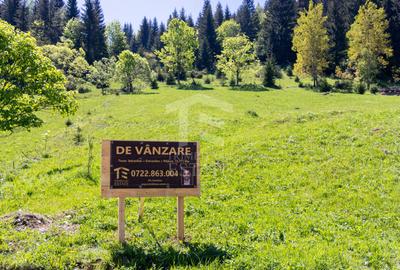Fundata-Teren de vanzare 15,771 mp intravilan+extravilan+padure - 16