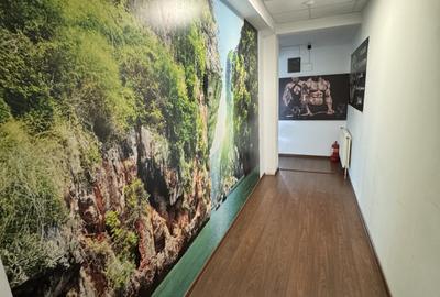AFACERE LA CHEIE DE VÂNZARE – FLY FITNESS BISTRIȚA - 13