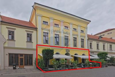 De vânzare — Spațiu comercial parter 409 mp, Vasile Alecsandri - 1