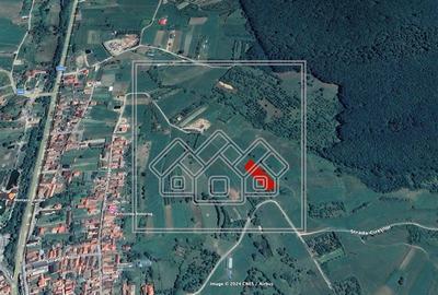 Teren agricol extravilan de 1528 mp, în Rășinari