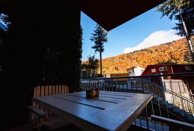 Apartament 2 camere Sinaia| Gradina 51 mp| Booking & Airbnb- Facilitati Premium - 12