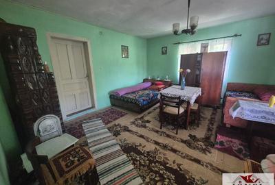 Vanzare casa in Almasu Mare - 6