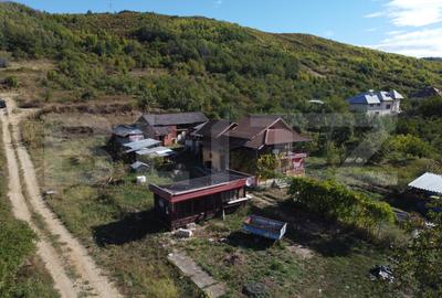 Casă P+M cu 1.380 mp teren intravilan, Viforâta – 97 mp utili - 1