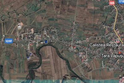 Teren Construcții intravilan de 5133 mp, în Târgu Lăpuș