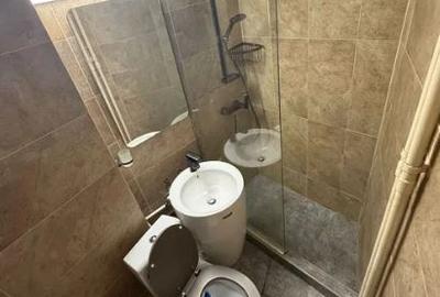Apartament 2 Camere,Parc Cismigiu,et.1/8,Amenajat,mobilat,PET FRIENDLY - 5