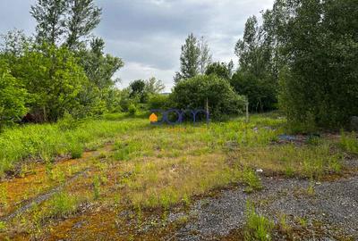 Teren industrial sau comercial 3000 mp Zagujeni - 4
