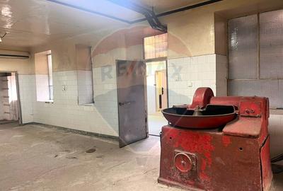 Oportunitate în Centrul Istoric –Spațiu comercial 299 mp utili, Brașov - 5