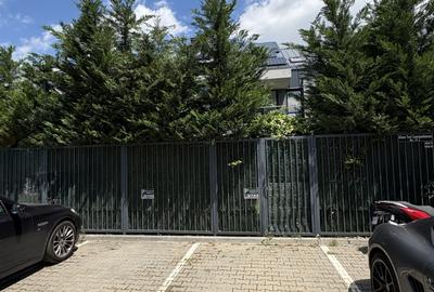 Vila 5 Camere + Birou Pipera Matei Millo Curte Privata 2 Parcari - 15