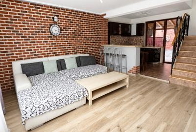 Vilă/ Casă 4 camere/ Andronache/ Cochetă/ Terasă/ Curte/ P+1 - 2