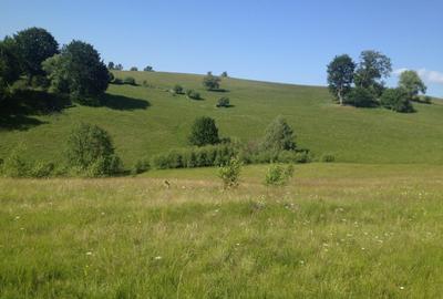 De vanzare teren in zona Crint -Tilisca in golul alpin, direct de la proprietar! - 4