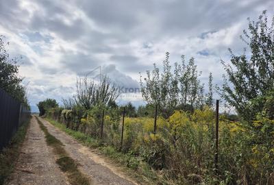 Teren intravilan Sânpetru – Livada - 5