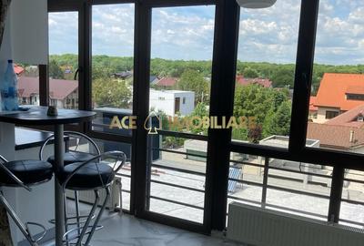2 Camere de inchiriat | Baneasa | Centrala | Cat friendly - 7