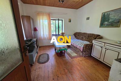 COMISION 0% Casa cu teren generos | 7050mp | Pianu de Sus - 3