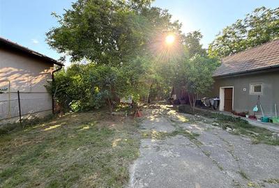CASA PLAN PARTER | TEREN 620 MP | ACCES AUTO | ZONA SANTAUL MARE | BIHOR - 19
