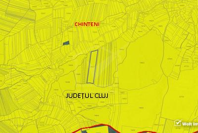 29.000 mp padure in Padureni (Chinteni), 100% material lemnos - 2