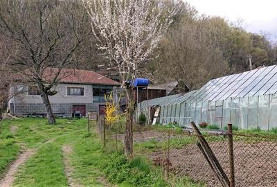 Casa si 3919 mp teren intravilan  in  Bucuresci, jud. Hunedoara - 1