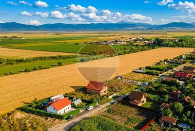 Loc de casa 500mp Harman -Str Nicolae Balcescu nr 136, utilitati - 1