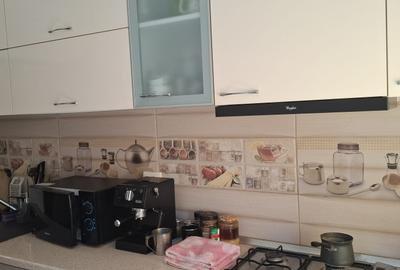 Teiul Doamnei Colentina, dec., 1985, mobilat/utilat, renovat, instalatii noi, AC - 9