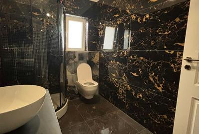Apartament 2 Camere Strada Părului Fundeni Dobroesti - 12