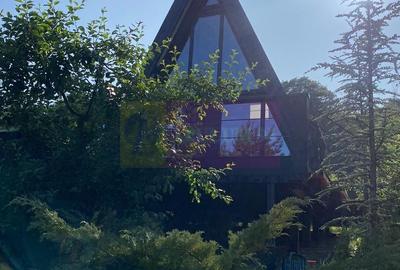 Cabane A frame + Teren 6000 mp |  Proprietate deosebita, NOU - 6