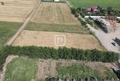 Teren 2000mp INTRAVILAN | Ilisesti | Suceava - 8