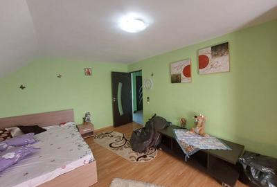 Casa Saucesti - 20